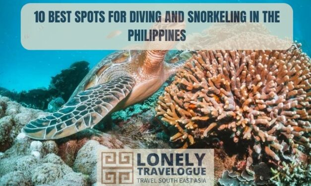 10 Best Spots For Diving and Snorkeling in The Philippines
