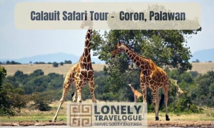 Calauit Safari Tour –  Coron, Palawan