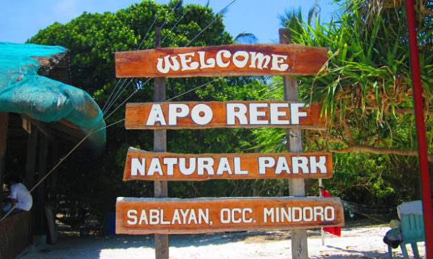 Sablay Sa Sablayan: The (Un) Sublime Underwater Experience in Apo Reef Marine Sanctuary