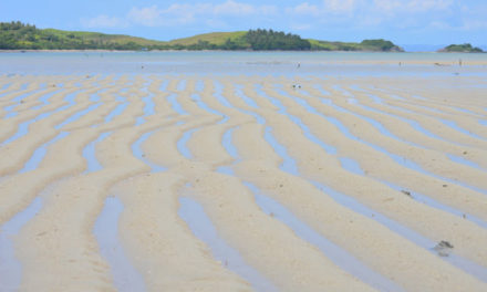 Cotivas Island: Starfish Island of Caramoan