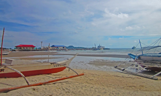 The Little Tour Guide in Capusan Beach, Cuyo Island