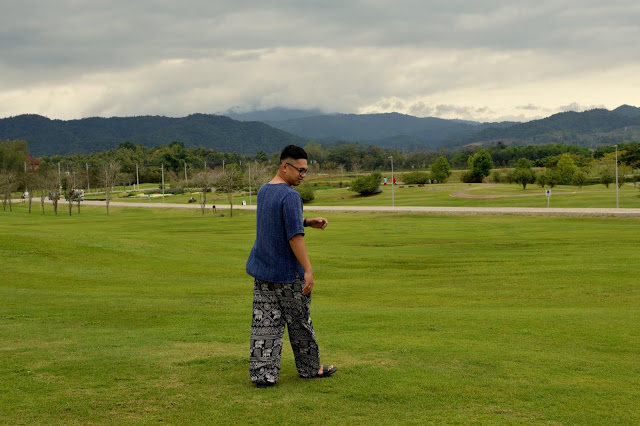 Singha Park and Tea Plantation