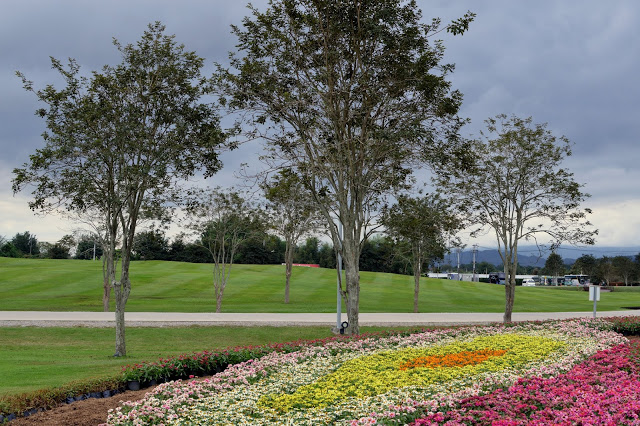 Singha Park and Tea Plantation