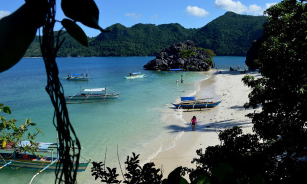Matukad Island and the Lonely Milkfish