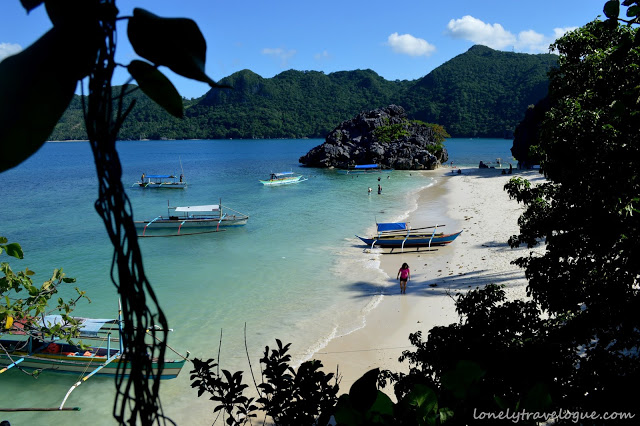 Matukad Island and the Lonely Milkfish