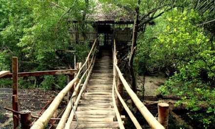 WHERE TO STAY IN SIQUIJOR: Guiwanon Spring Park: Not Your Ordinary Place