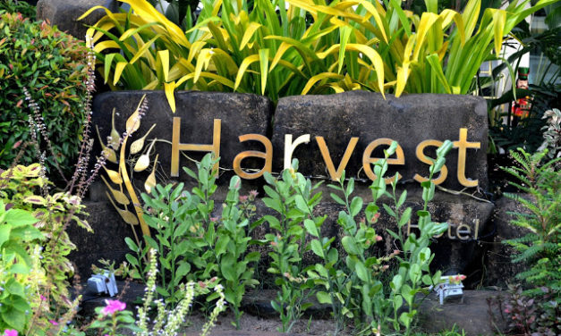 Five Reasons to Stay at Harvest Hotel in Cabanatuan City