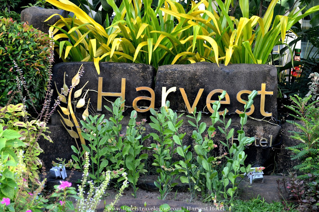 Five Reasons to Stay at Harvest Hotel in Cabanatuan City