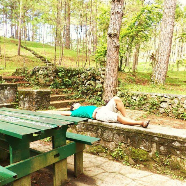 travel experience in baguio essay