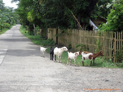 tourist spots in bicol camarines sur