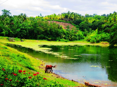 Samal Island: Tagbabo Falls and Monfort Bat Colony