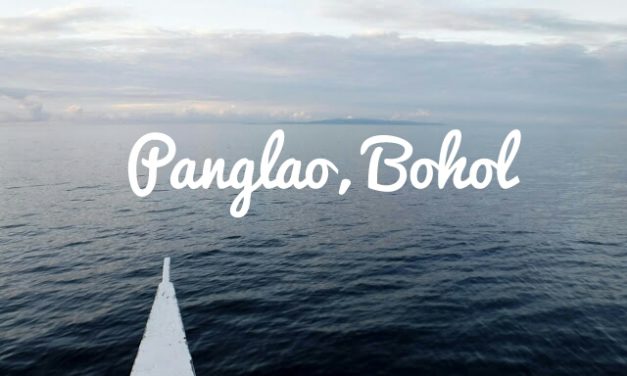 The Dolphins, the Fishes, the Corals and the Virgin Island of Panglao Bohol