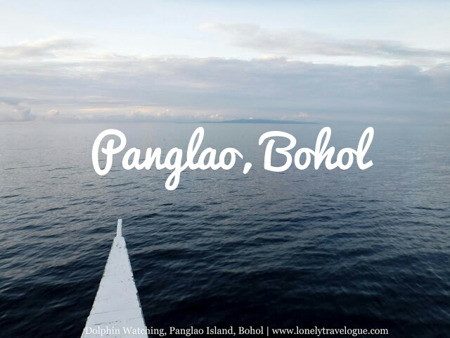 The Dolphins, the Fishes, the Corals and the Virgin Island of Panglao Bohol