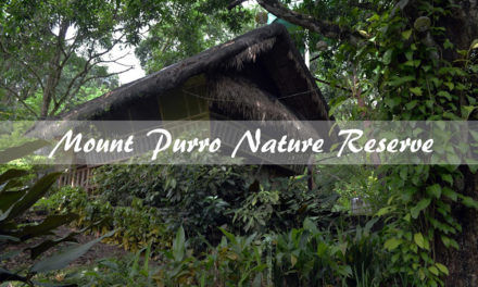 Mount Purro Nature Reserve: A Quick Escape to a Rustic Life
