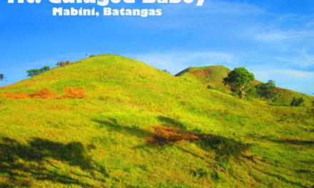 Social Climber: Mt. Gulugod Baboy