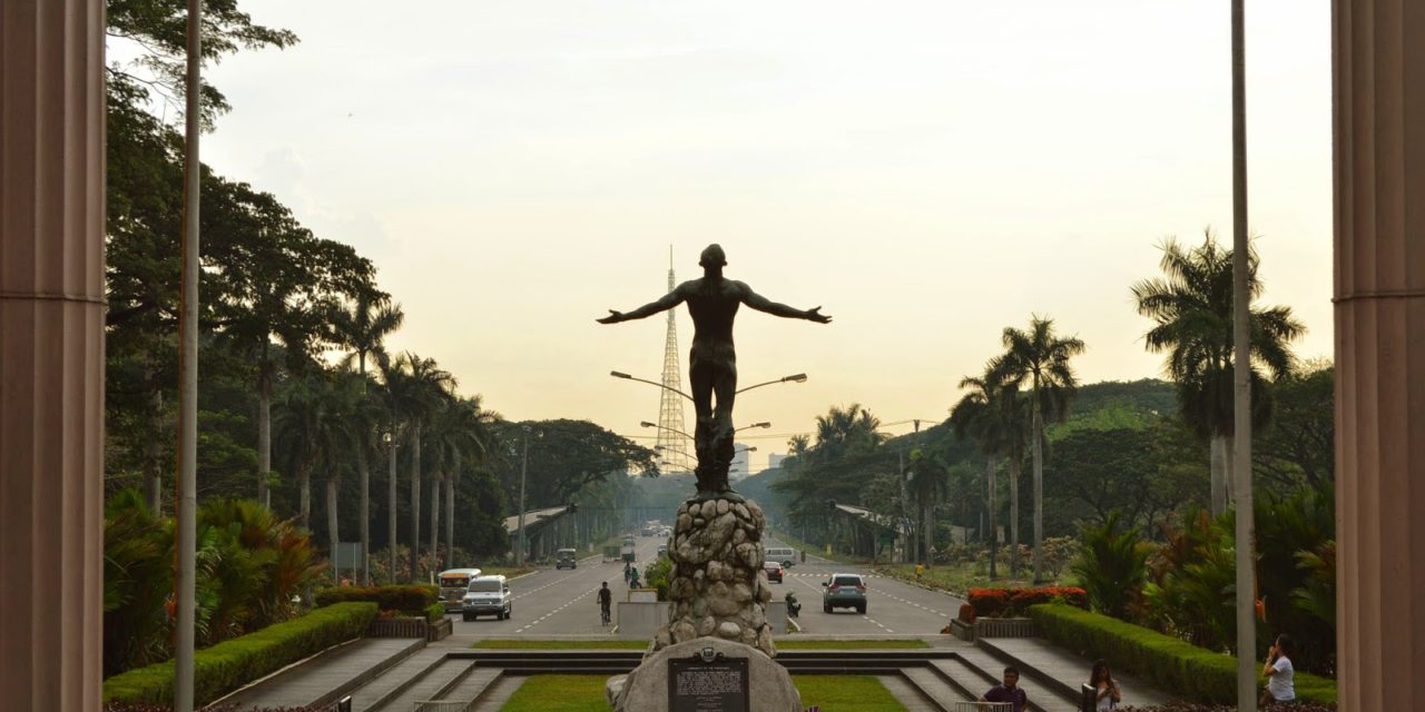 In Pictures: The Sunflowers of the University of the Philippines Diliman