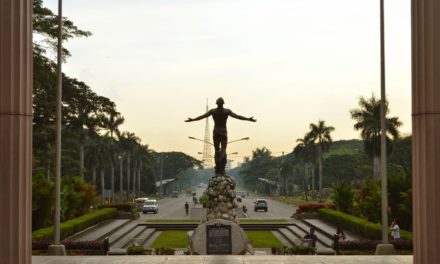 In Pictures: The Sunflowers of the University of the Philippines Diliman